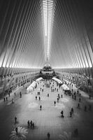 The Oculus Mall in New York City