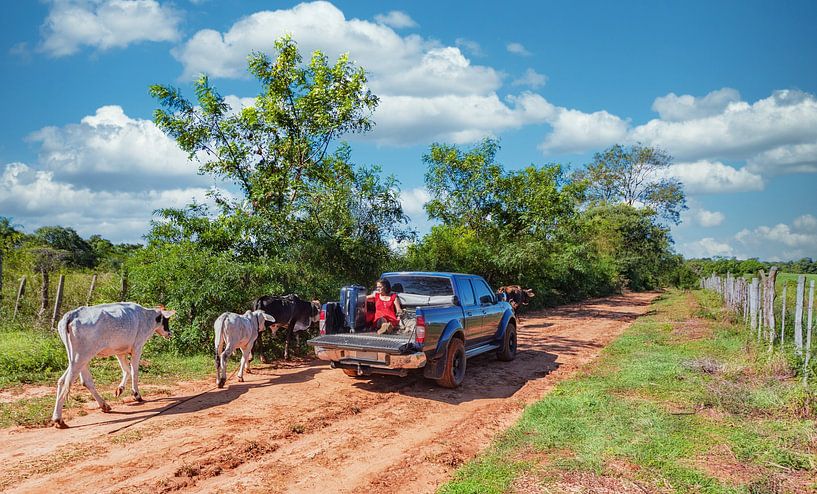 Scène typique sur une route de sable au Paraguay par Jan Schneckenhaus