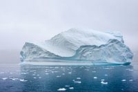 Floating in the mist