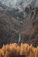 La chute des draperies