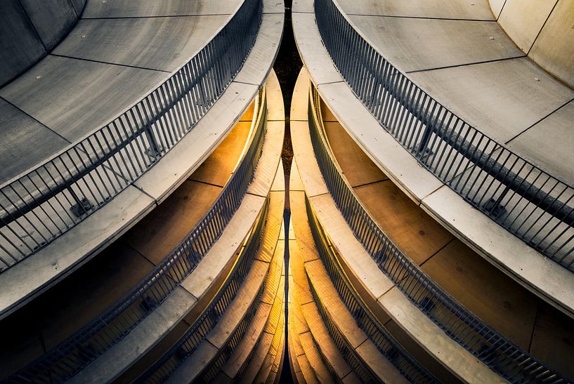 Cercles d'or par Martijn Kort