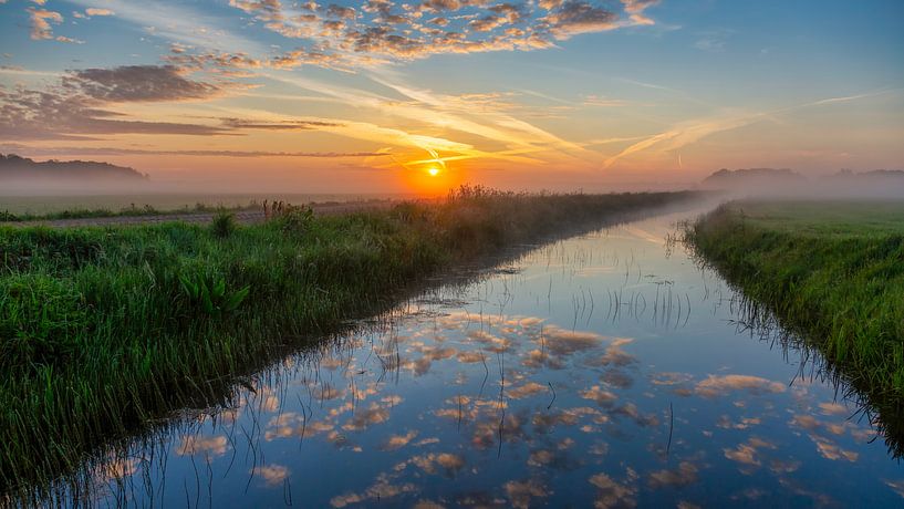 Reflection of today by Anneke Hooijer