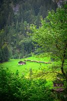 Yellow Flash: Zugfahrt durch Lauterbrunnens Naturschönheiten