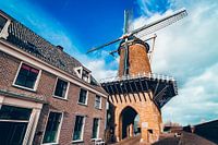 Molen van Wijk bij Duurstede