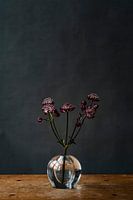 Photo | Purple flowers in vase | Botanical | Modern still life