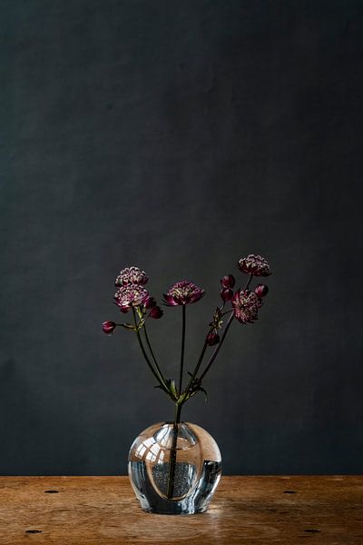 Photo | Fleurs violettes dans un vase | Botanique | Nature morte moderne par Jenneke Boeijink