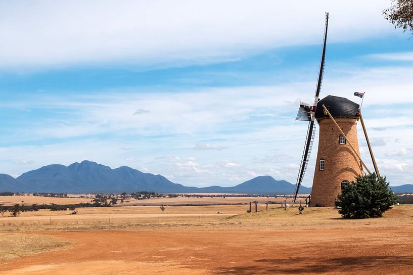 Holländische Mühle in Australien von Sonja Hogenboom