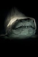 Tough shark with black background