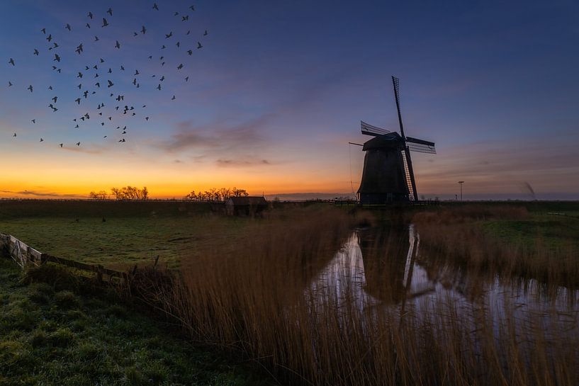 Moulin ci-dessus E schermerhorn en réflexion par peterheinspictures