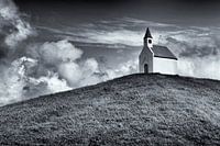 De Terp van Leidschenveen