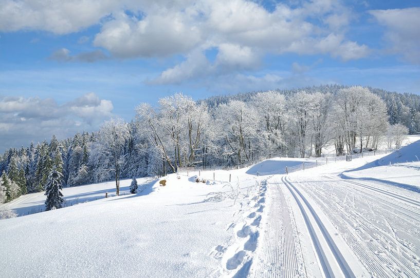 Skilanglaufparadies Bayerischer Wald von Peter Eckert
