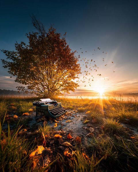 Goldene Stunde erwacht von fernlichtsicht