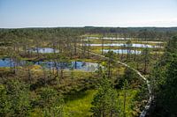 Veenmeren in Estland