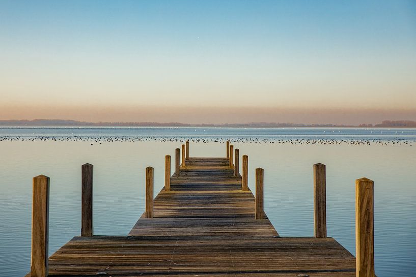 Jetty at the Veluwe Lake: a wintery picture by Laura V