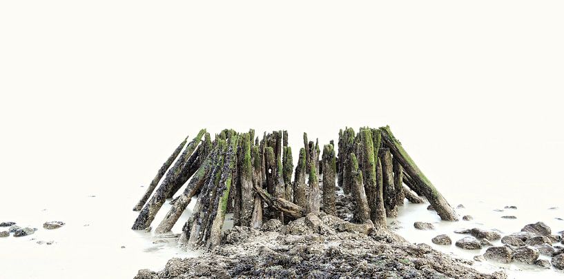 Bakendorp aan de Westerschelde von Jos Hug
