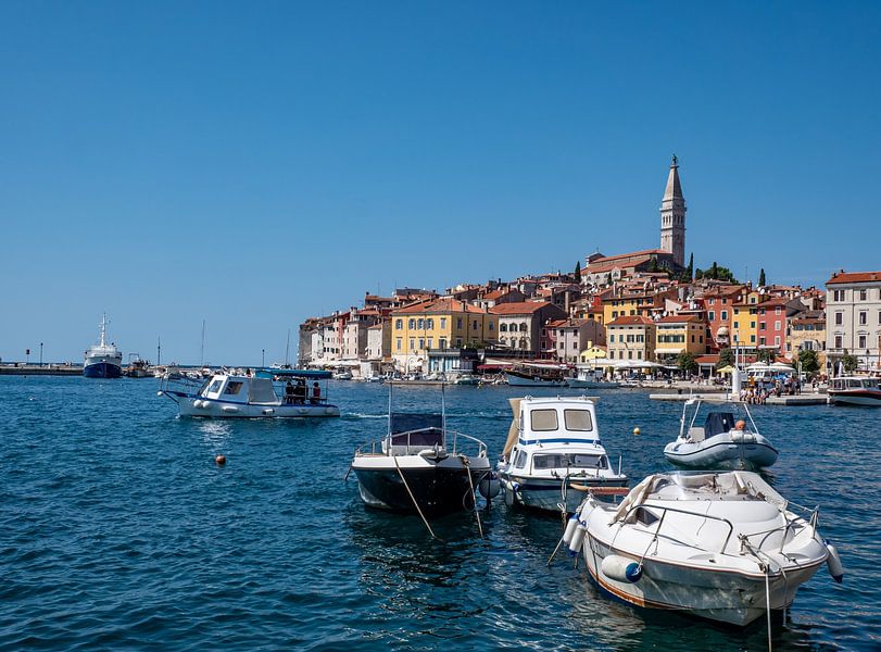 Port of Rovinj on the Adriatic Sea in Croatia by Animaflora PicsStock