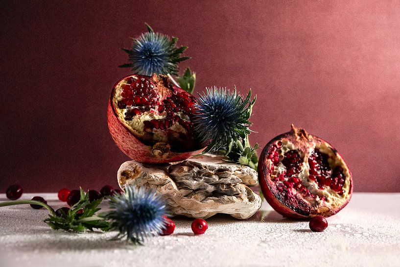 Ode à la grenade par Olha Rohulya