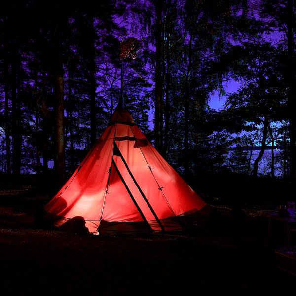 Warm night by Mad Dog Art