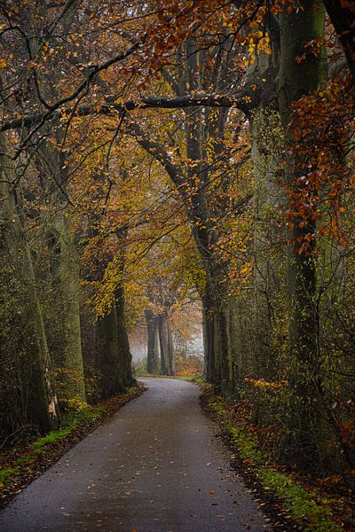 Novembersphere von Ingrid de Vos - Boom