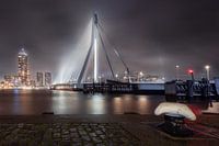erasmus bridge