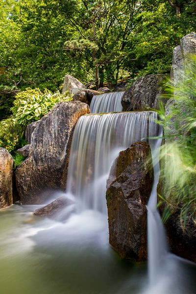 Kreis des Lebens von QEIMOY