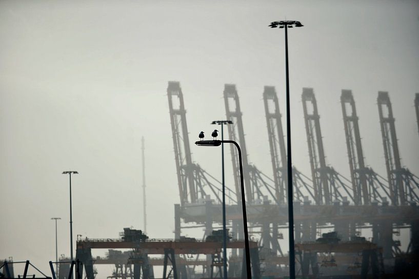 Maasvlakte, Hafenansichten der Industrie von Blond Beeld
