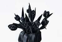 Tulpen schwarz und weiß