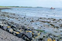 Artwork on Terschelling