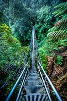 Hängebrücke vor der Montezuma Wasserfällen