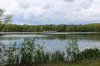 Zonnevijver on a summer day