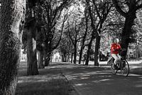 Cyclist in red