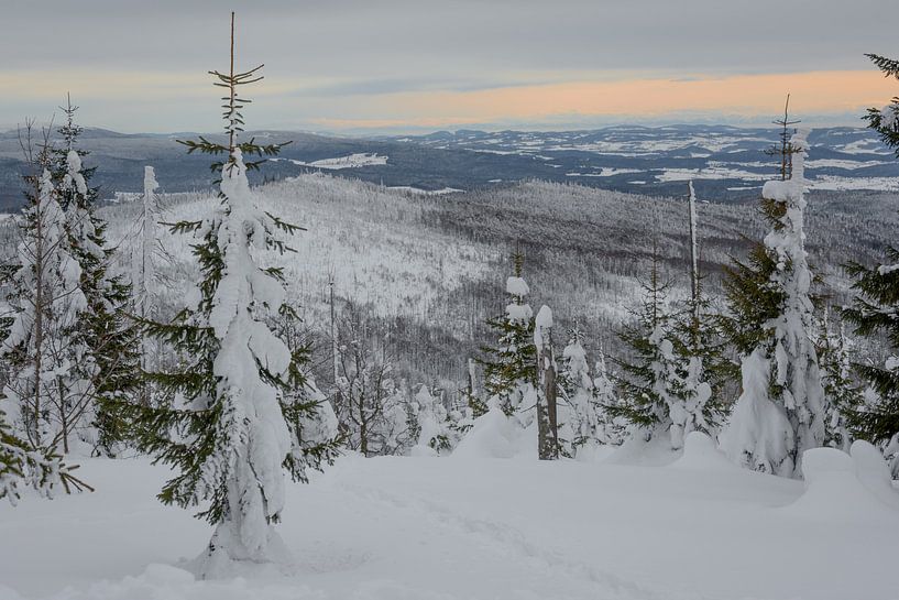 Uitzicht vanuit Lusen national Park Germany by Desirée Couwenberg