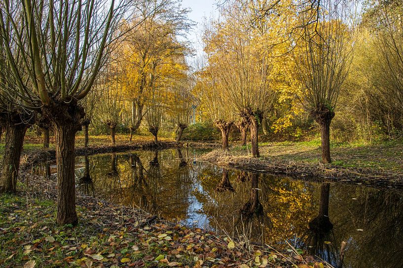Weiden entlang des Baches von Bas Rutgers