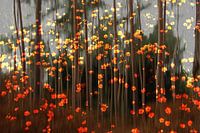 impressionistic fairytale forest