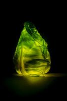 Mächtiger Spitzkohl