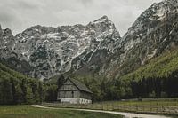 Boerderij met uitzicht