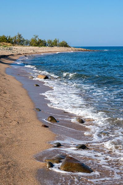 Sandy beach in summer with stones in the bay on the island of Corsica vertical by Animaflora PicsStock