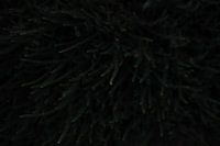 Branche sombre - détail photographie nature tirage vert