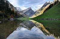 Seealpsee Reflexion