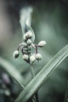 couleurs douces belles formes