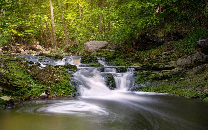 Hoëgne Tal, Hohes Venn, Belgien von Alexander Ludwig