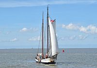 Het bruine vloot schip Tijdgeest