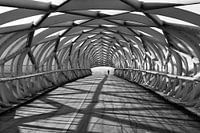 Hinaus in die weite Welt