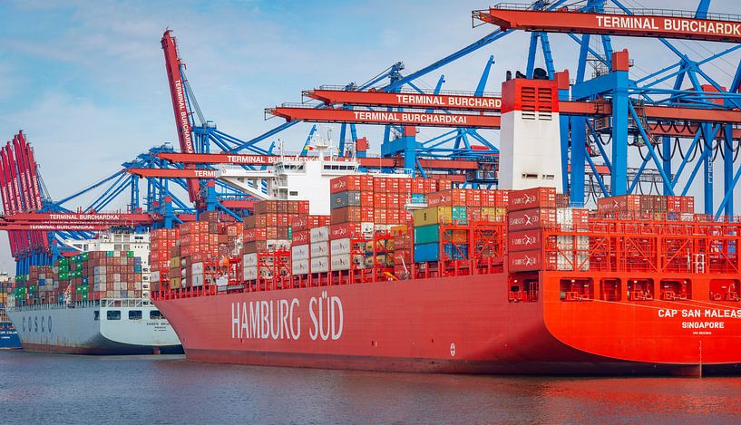 Des navires porte-conteneurs avec des conteneurs embarqués au terminal à conteneurs du port de Hambo par Sjoerd van der Wal Photographie