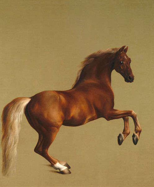 Whistlejacket, George Stubbs von Meisterhafte Meister