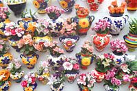 Hottentots potting exhibition