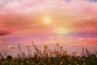 Glühbirnen uber blumen