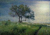 een boom voor  Vincent