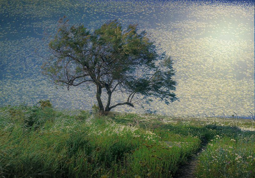 een boom voor  Vincent von Henk Speksnijder