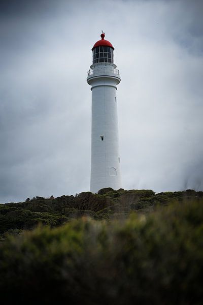 Lighthouse Great Ocean Road | Lighthouse Great Ocean Road by Inge van Tilburg